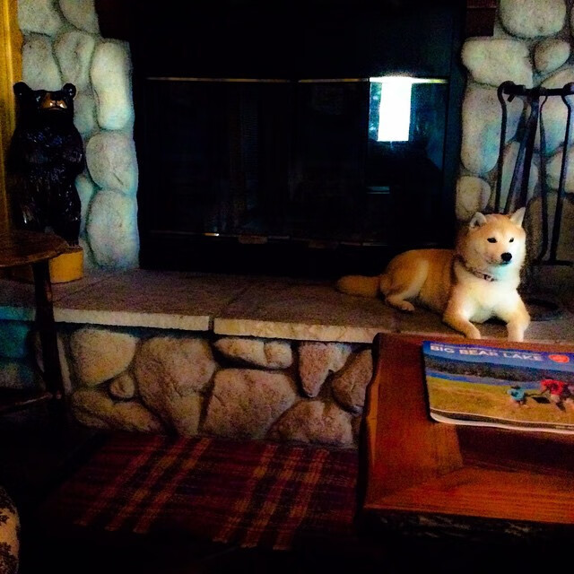 当欧冠决赛哨响,我想起文班亚马的夜晚