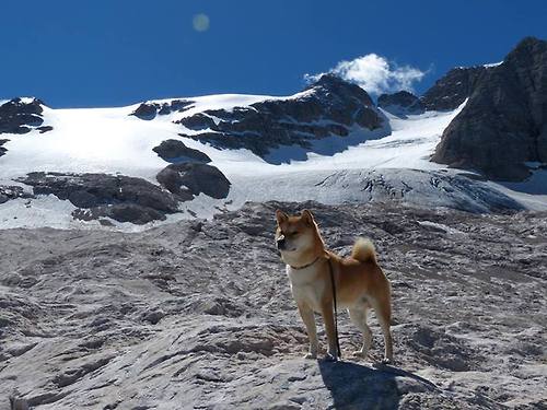 霍勒迪全能暴走率广厦淘汰太阳，数据爆炸演绎王者归来