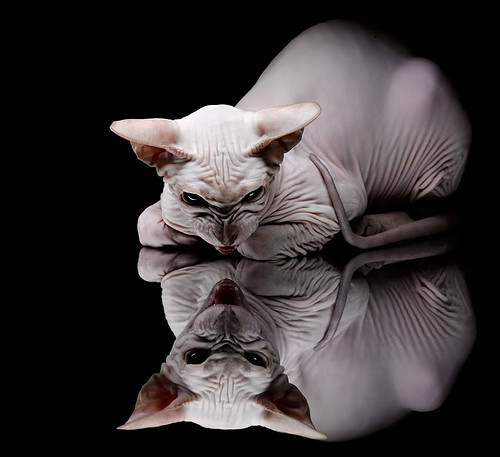 当足球鬼才降临NBA季后赛之夜,久保建英用双脚改写了篮球法则