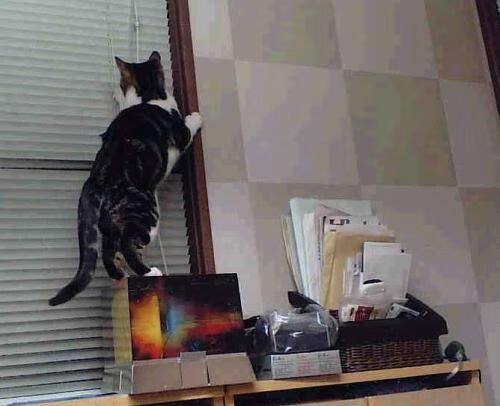 钢铁阿坎吉，那个将曼城防线焊在英超王座上的夜晚