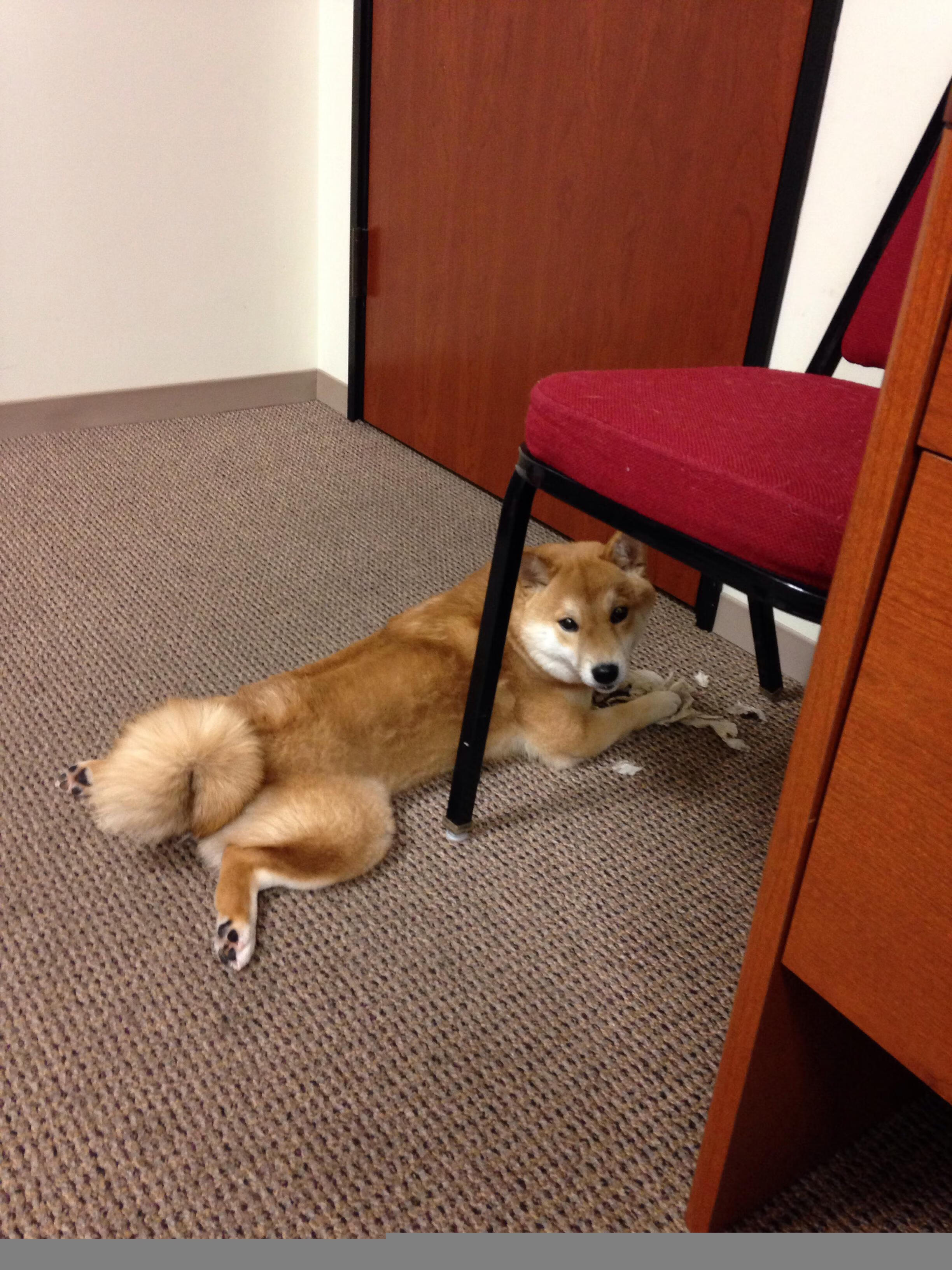 逆转锋芒,雷霆队争冠战险胜奇才,塔图姆关键时刻定义巨星价值