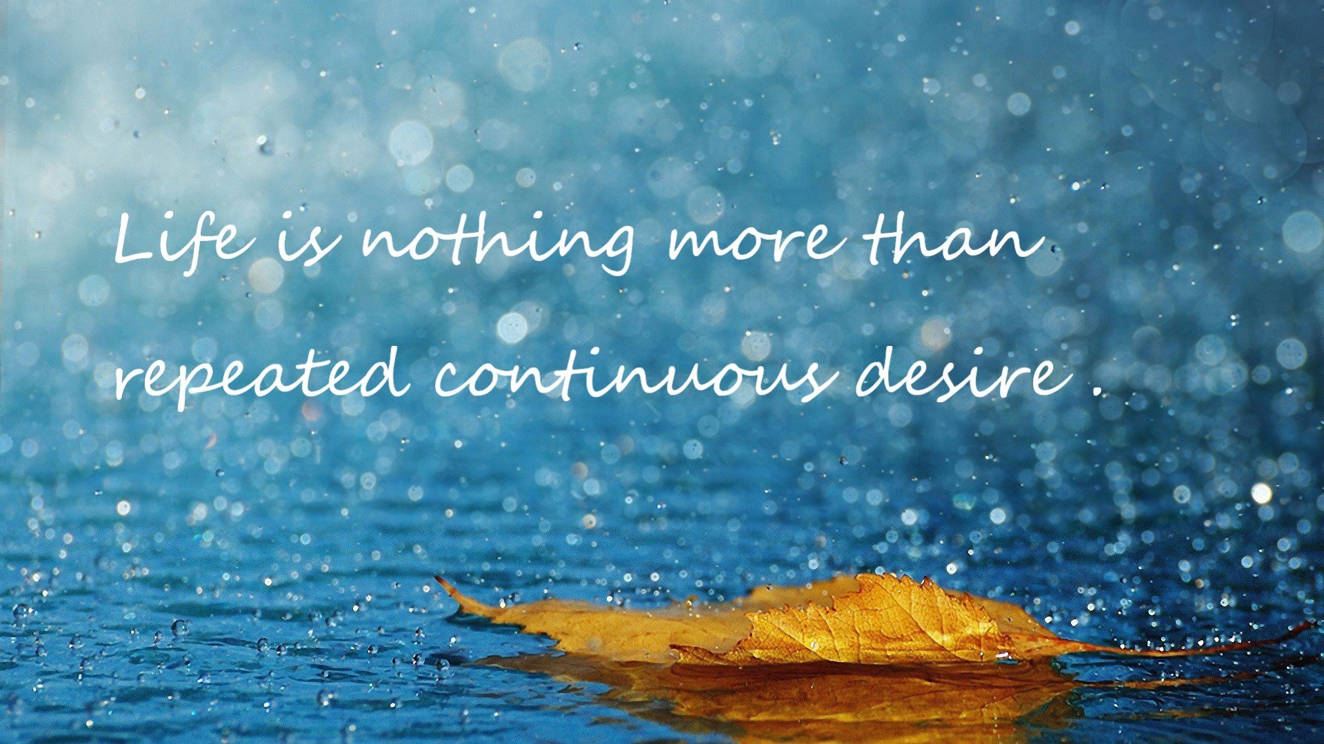 寒冰与烈火之间,阿劳霍用自我救赎重写失意者的故事