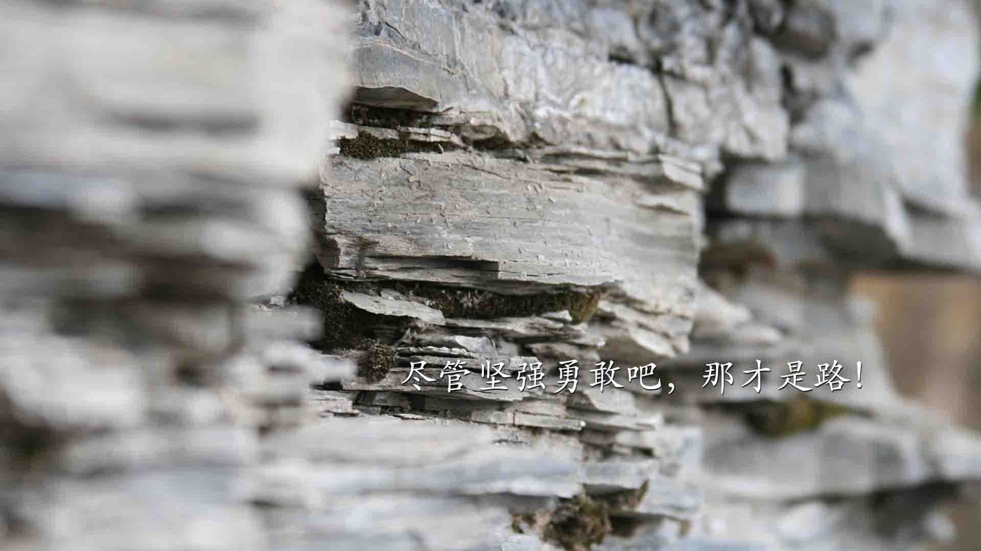 爱游戏下载-跨界主宰，勇士横扫灰熊，伦纳德在意甲焦点战中的篮球式接管