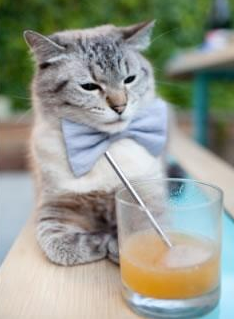 黑马奔腾!山西险胜新疆强势晋级,英格拉姆神勇封王关键先生