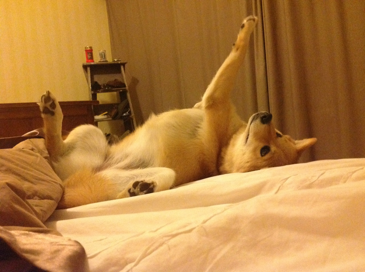 最后一秒的火焰，迪亚斯为乌拉圭点燃救赎之光