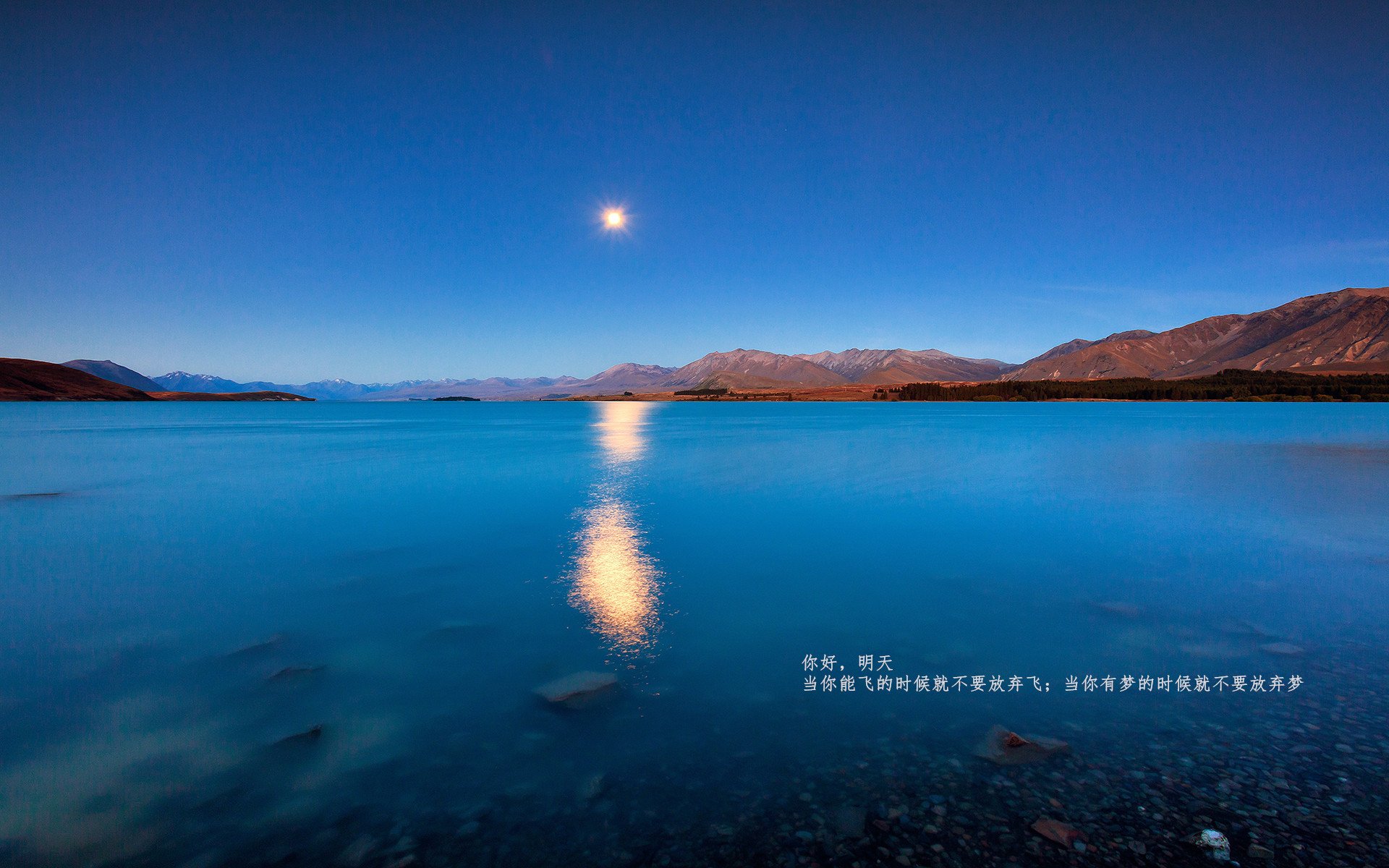 森林觉醒，当猛龙的羽翼遮断灰熊归途