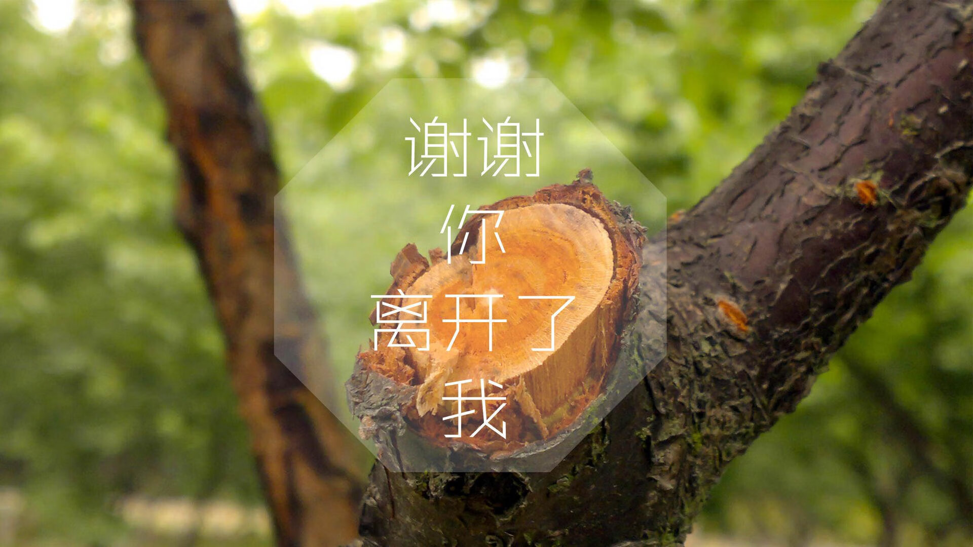 闪电破晓,2026世界杯E组,葡萄牙的钢铁防线与卢卡库的救赎之路