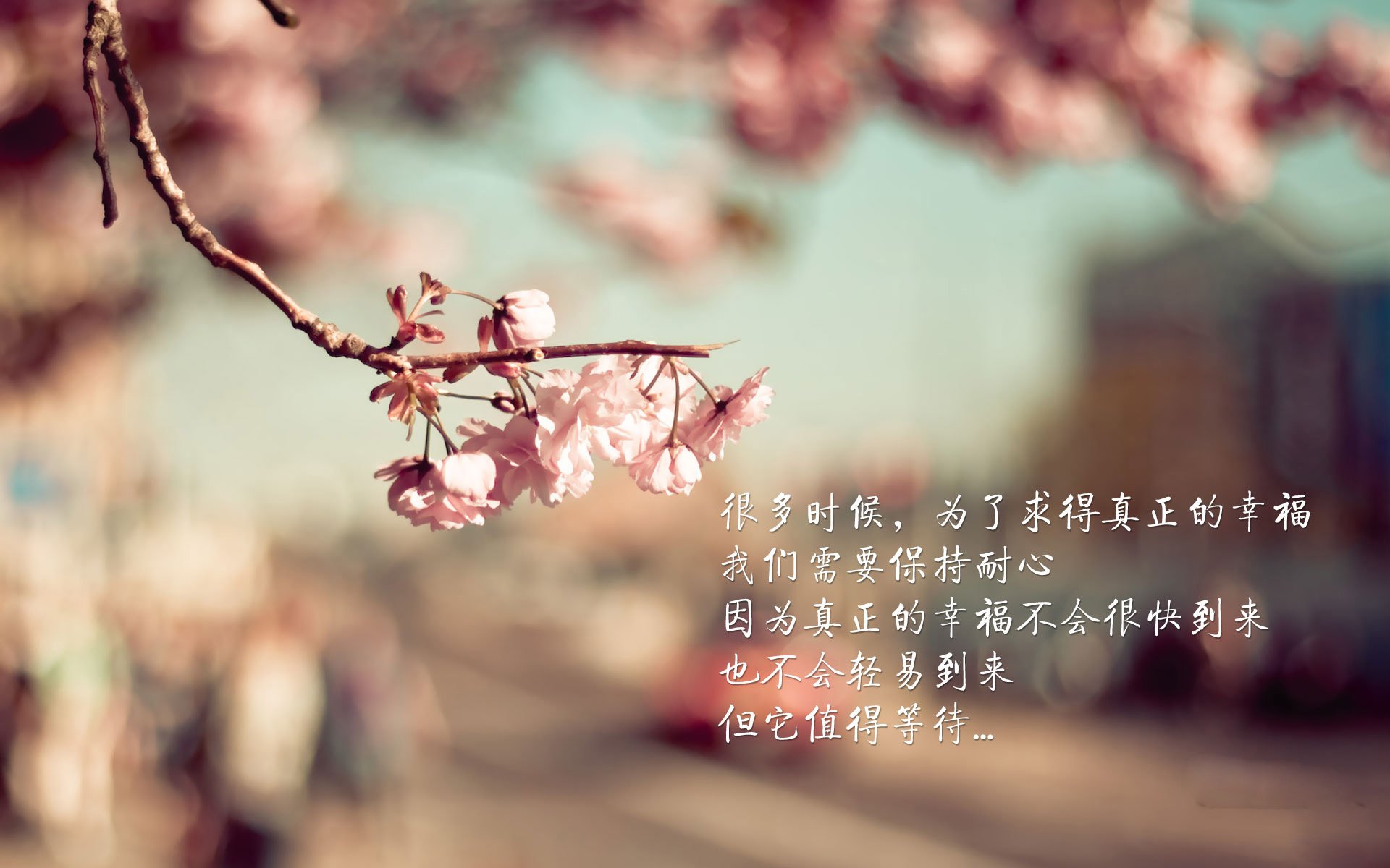 冰与火之歌,2026世界杯黑马之战,C罗导演加拿大北欧闪电战