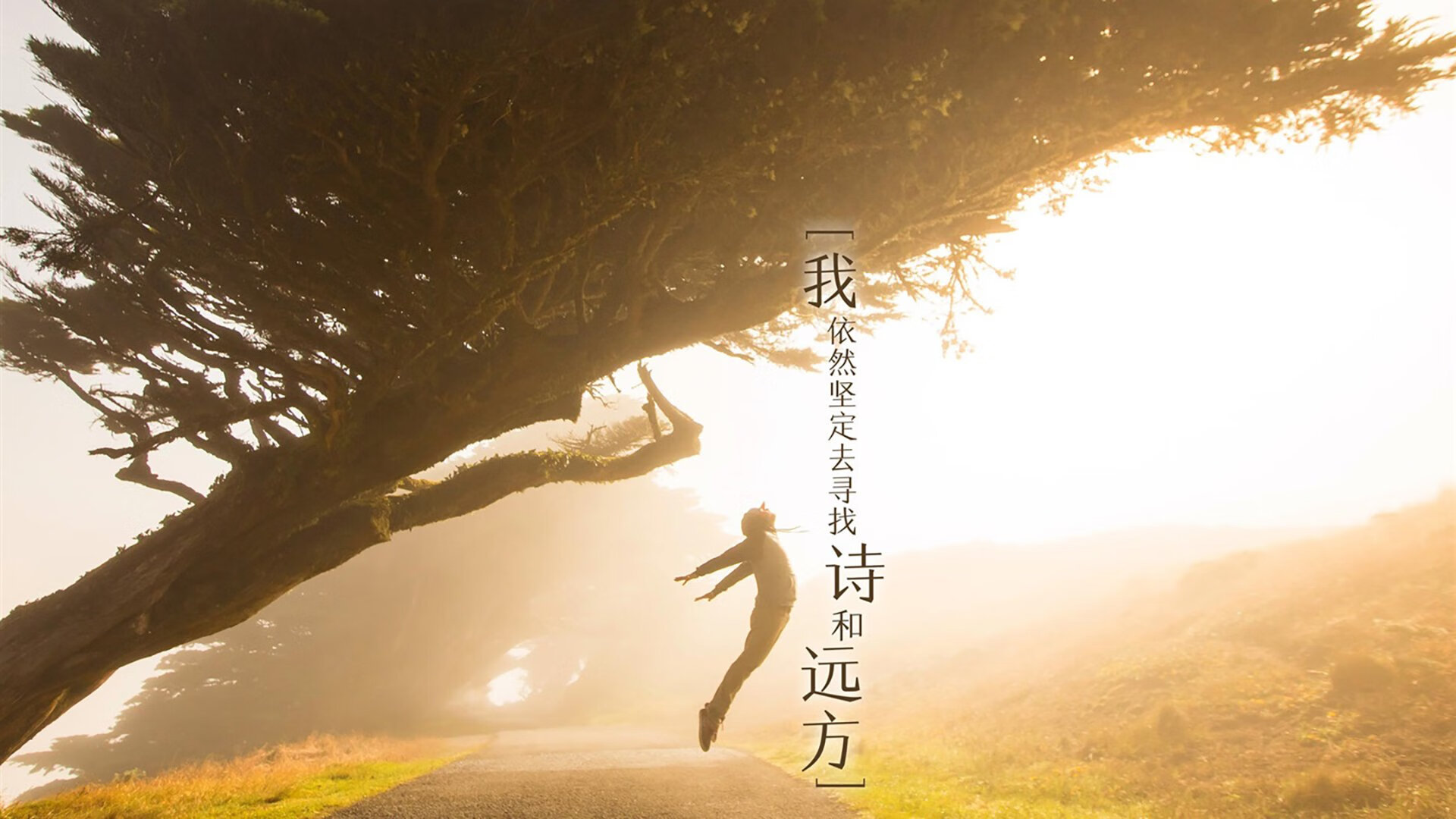 荒漠与山巅的碰撞,2026世界杯A组,哥伦比亚用默契撕开摩洛哥铁幕,吉鲁的最后一舞点亮北美夜空