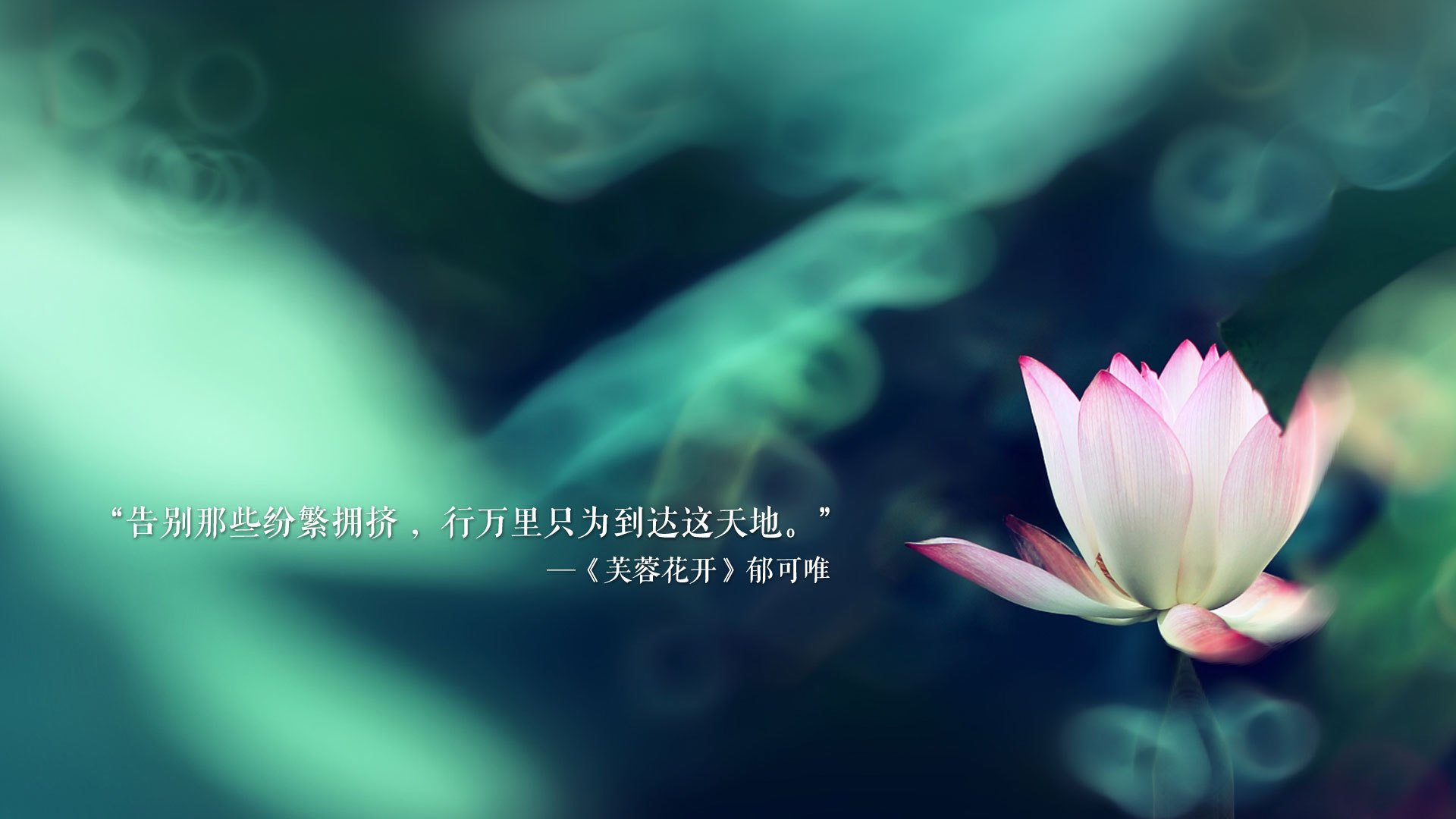 2026世界杯E组，冷门与绝杀交织的72小时，加纳的狂潮、葡萄牙的崩塌与久保建英的致命一刀