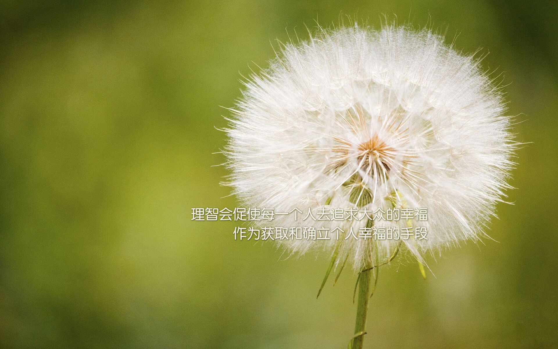 铁壁与锋刃，那场改写命运的积分生死战—当吉鲁引领澳大利亚防线崩塌