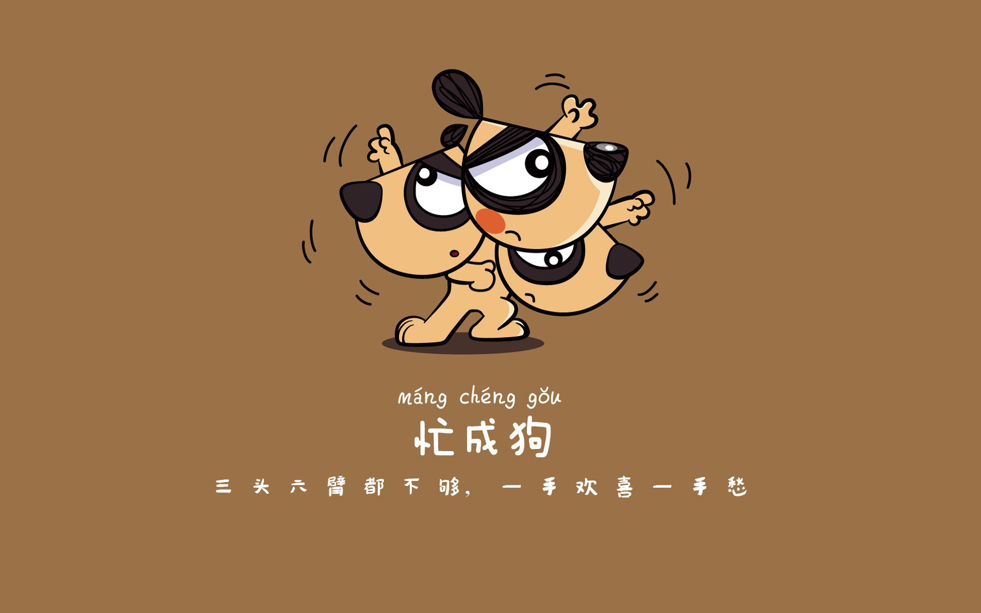 孤星闪耀，2026世界杯D组焦点战，萨卡独舞之夜，厄瓜多尔力克罗马尼亚